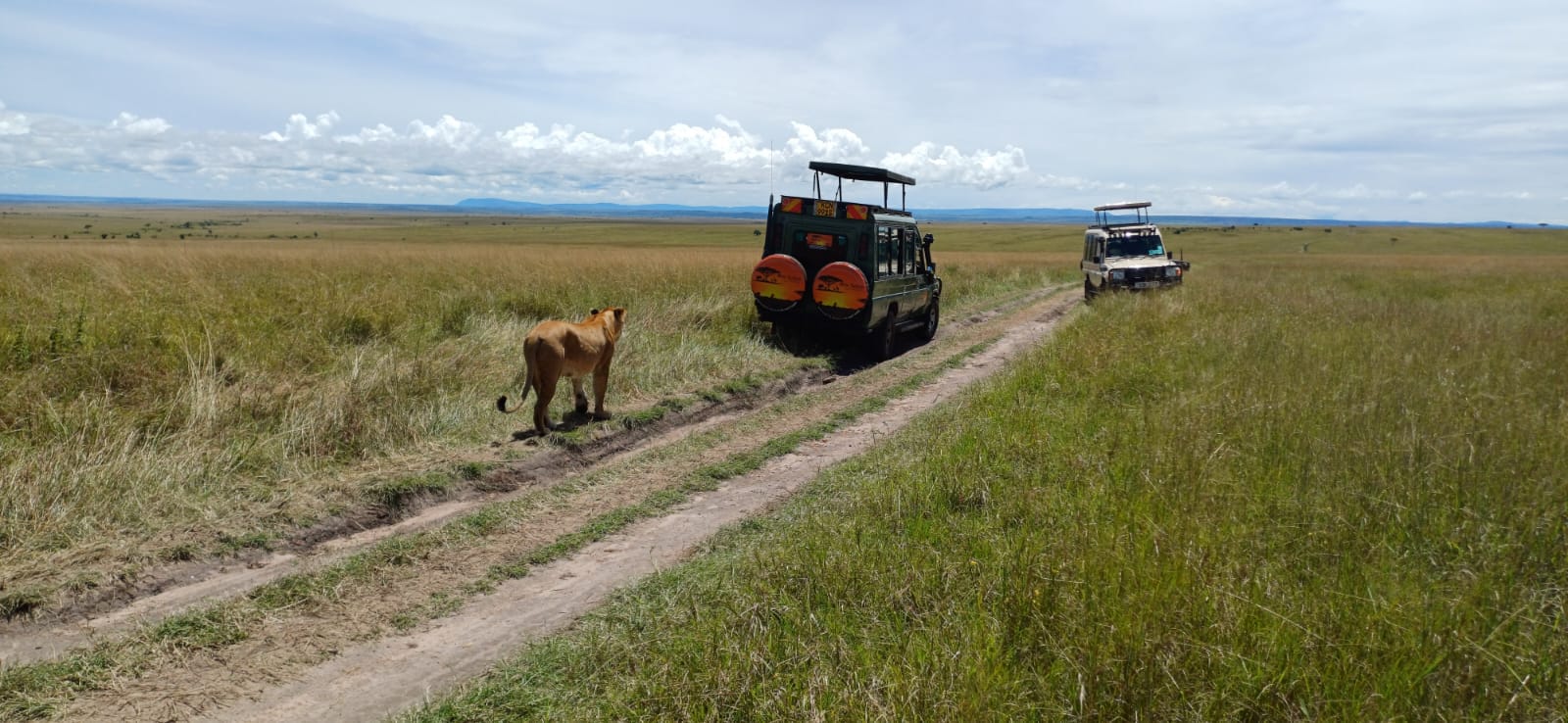 4x4 Safari Vehicle in the Maasai Mara